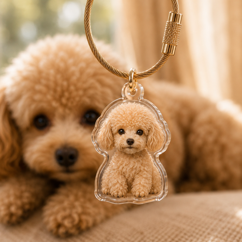 Il tuo amico a quattro zampe, sempre con te 🐾